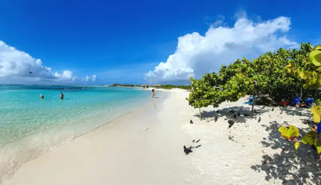 Tudo o que você precisa saber sobre o verão em Aruba