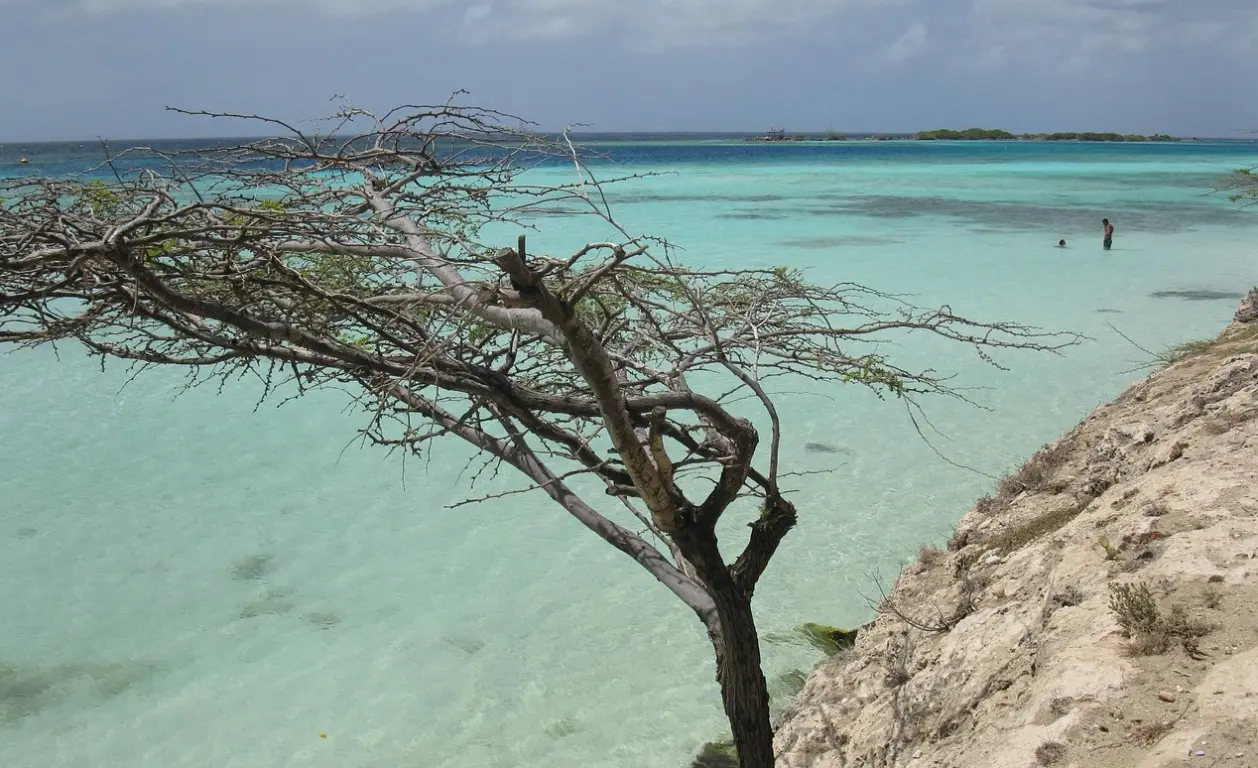 O que fazer de graça em Aruba