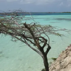 O que fazer de graça em Aruba