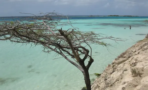 O que fazer de graça em Aruba O que fazer de graça em Aruba