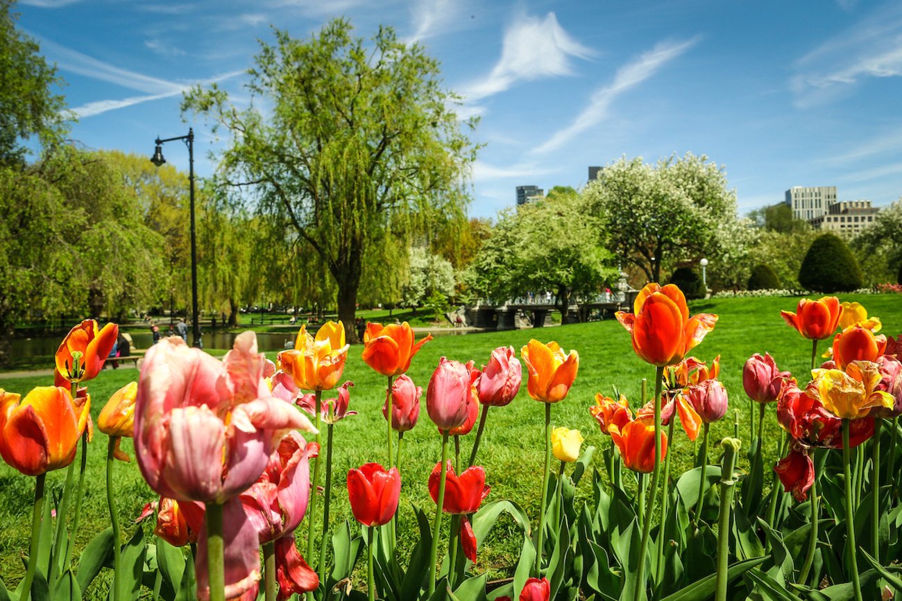 Cidade de Boston