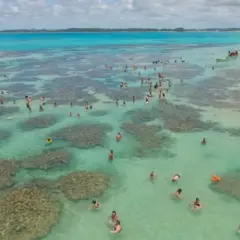 Todas as dicas para uma viagem a Maragogi em agosto