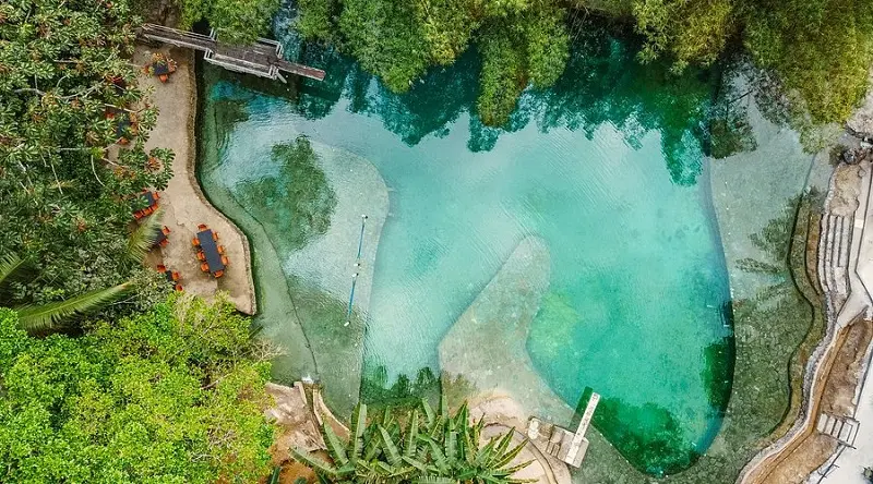 Santuário Ecológico Fazenda Santa Tereza em Atalaia