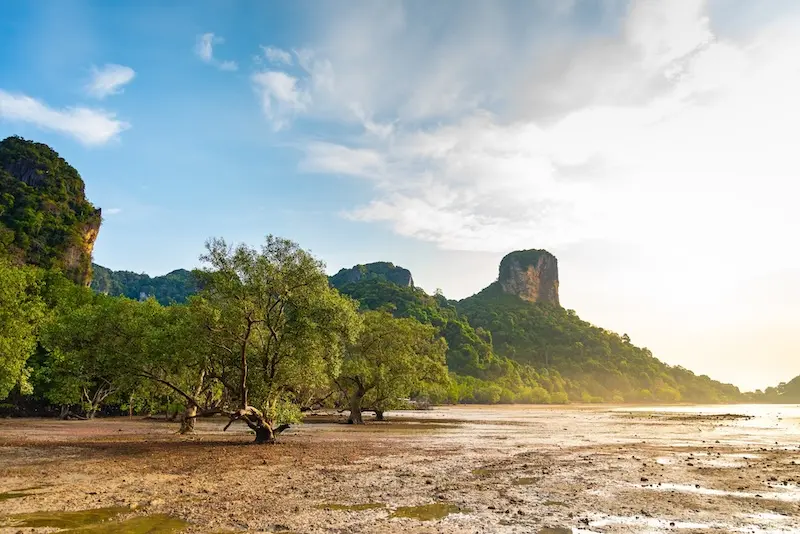 Praia Nopparat Thara - vegetação