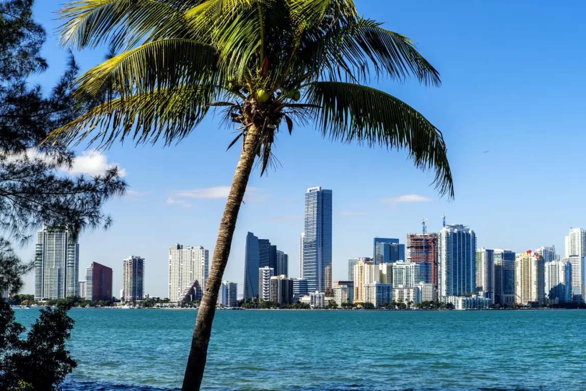 Paisagem para a cidade de Miami Paisagem para a cidade de Miami