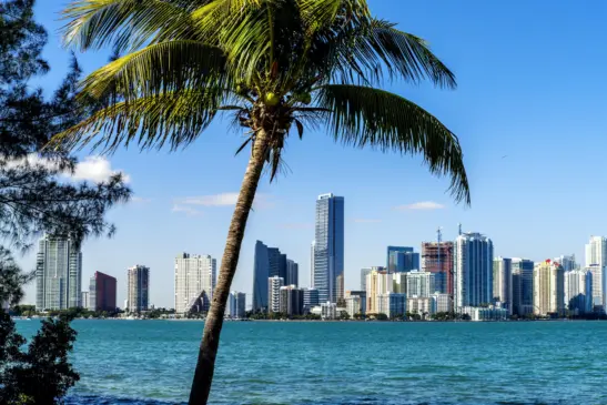 Paisagem para a cidade de Miami