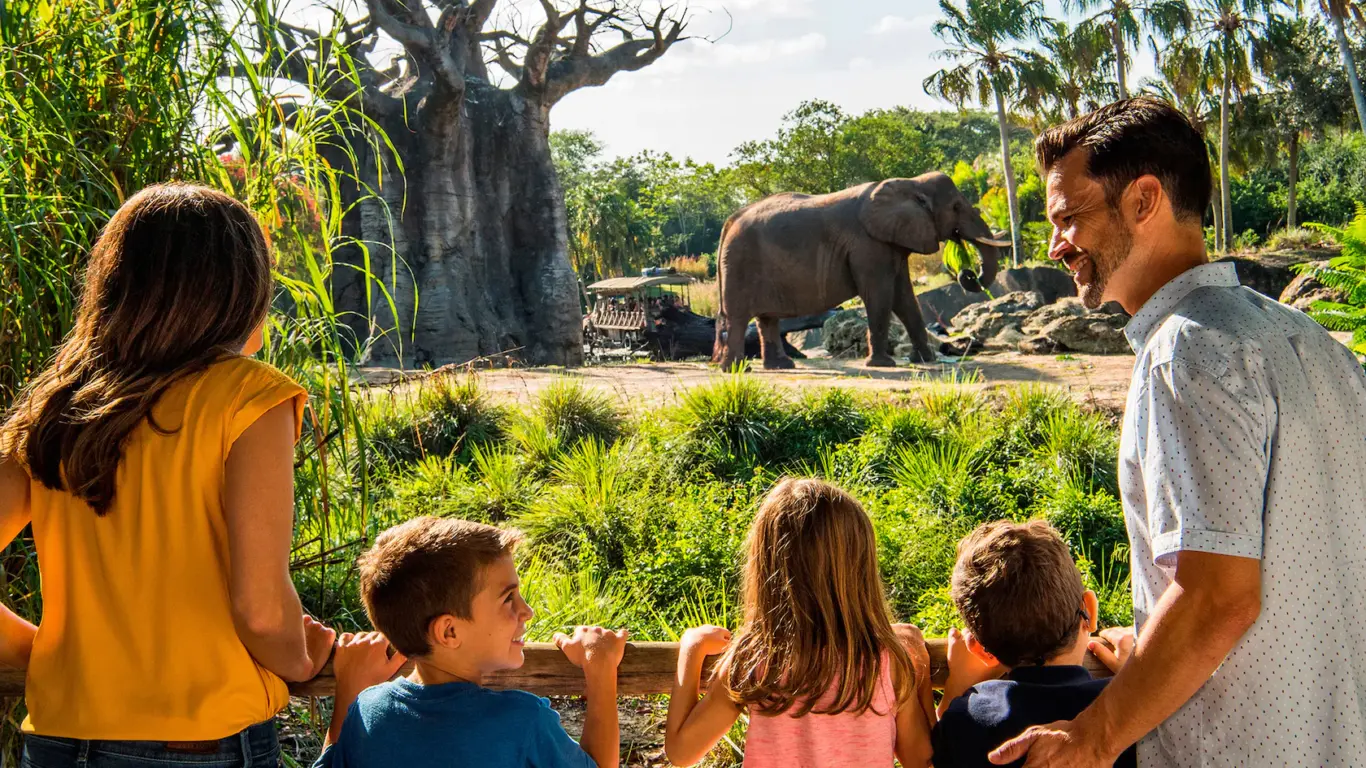 Caring for Giants no Disney Animal Kingdom