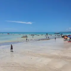 Dicas para uma viagem em novembro em Maragogi