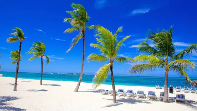 Praia no verão em Miami