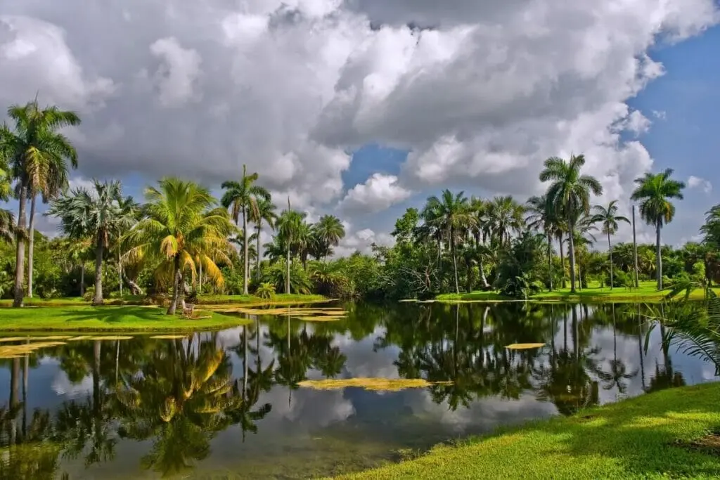 Plantas no Fairchild Tropical Botanic Garden em Miami