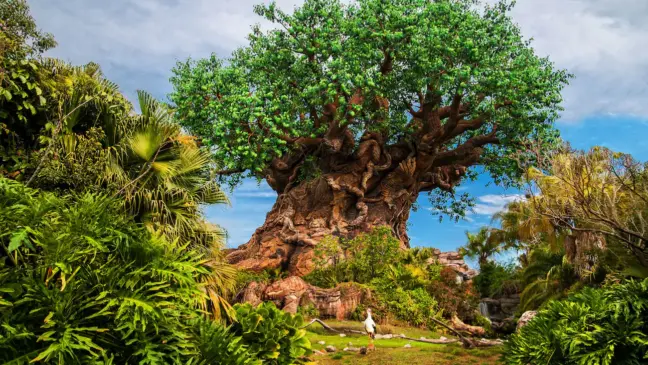 Onde comprar ingressos do Animal Kingdom da Disney Orlando