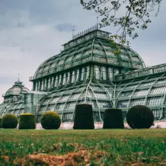 Viena em outubro: como é o clima e o que fazer!