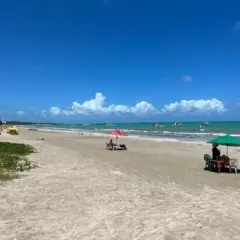 Tudo para a sua viagem no mês de julho em Maragogi