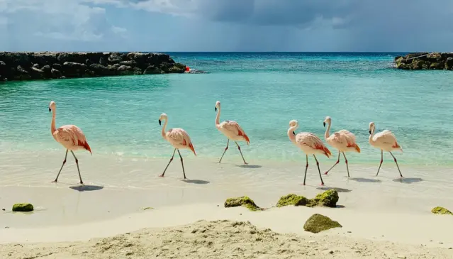 O que fazer em 6 dias em Aruba