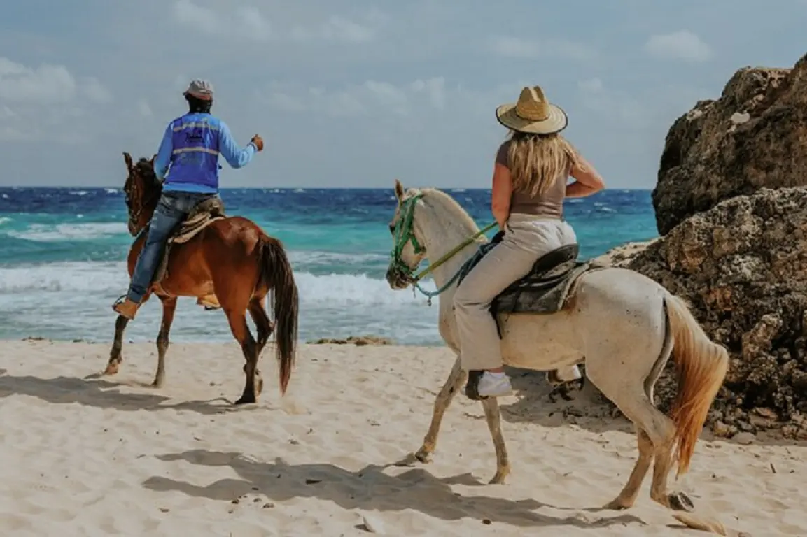 Passeio a cavalo pelo norte de Aruba: Como fazer?