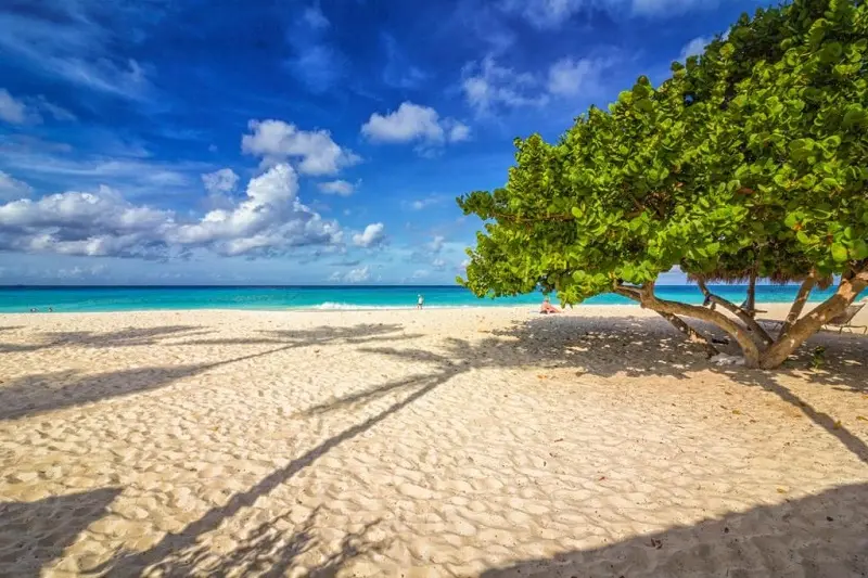 Eagle Beach em Aruba Eagle Beach em Aruba
