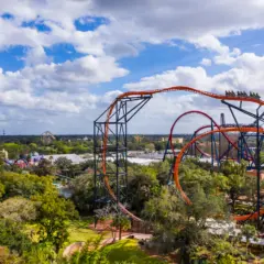 Vista das atrações do Busch Gardens Tampa Bay
