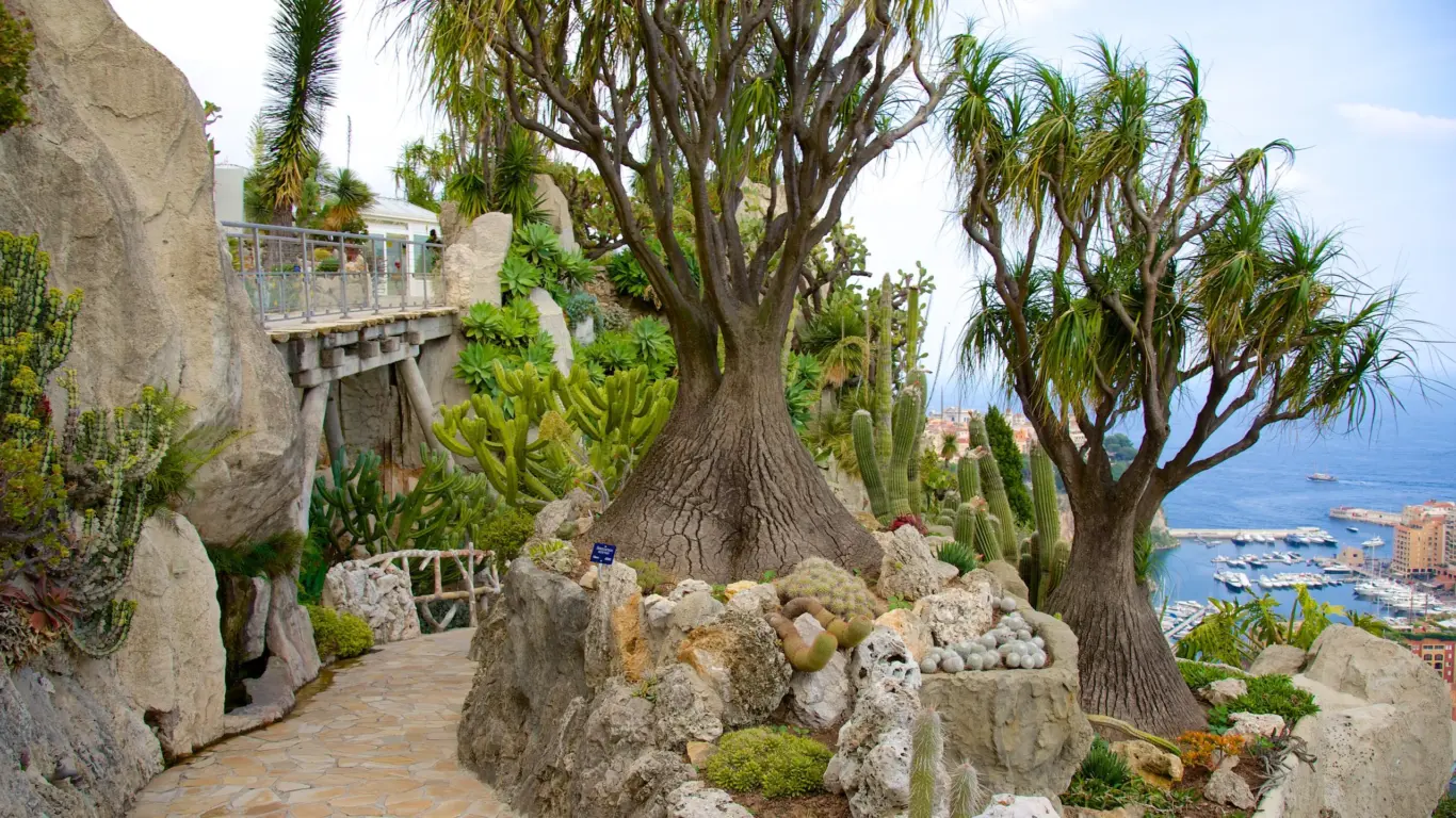 Jardim Exótico de Mônaco 