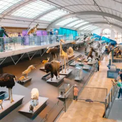 Melhores museus em Bruxelas