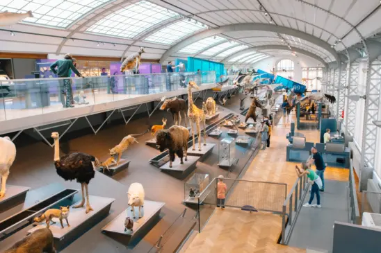 Museum des Sciences naturelles - Museum voor Natuurwetenschappen
© visit.brussels - Marin Driguez - 2022