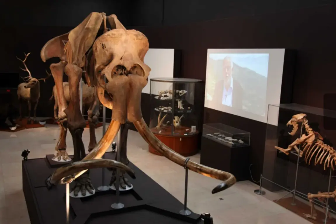 Museu de Antropologia Pré-Histórica