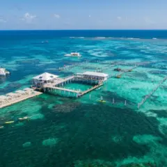 Passeio de barco e snorkel no Marinarium em Punta Cana