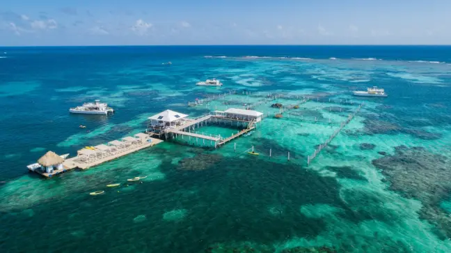 Passeio de barco e snorkel no Marinarium em Punta Cana