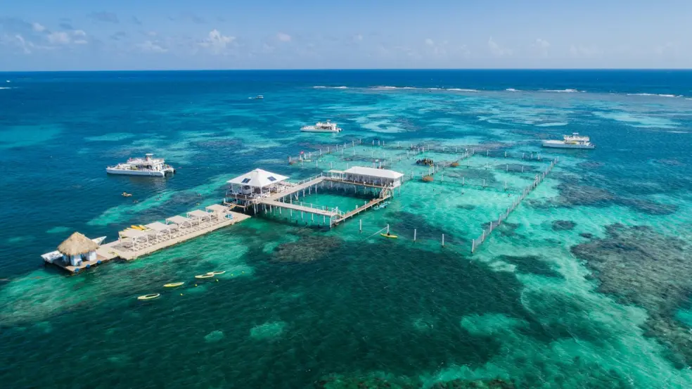 Passeio de barco e snorkel no Marinarium em Punta Cana