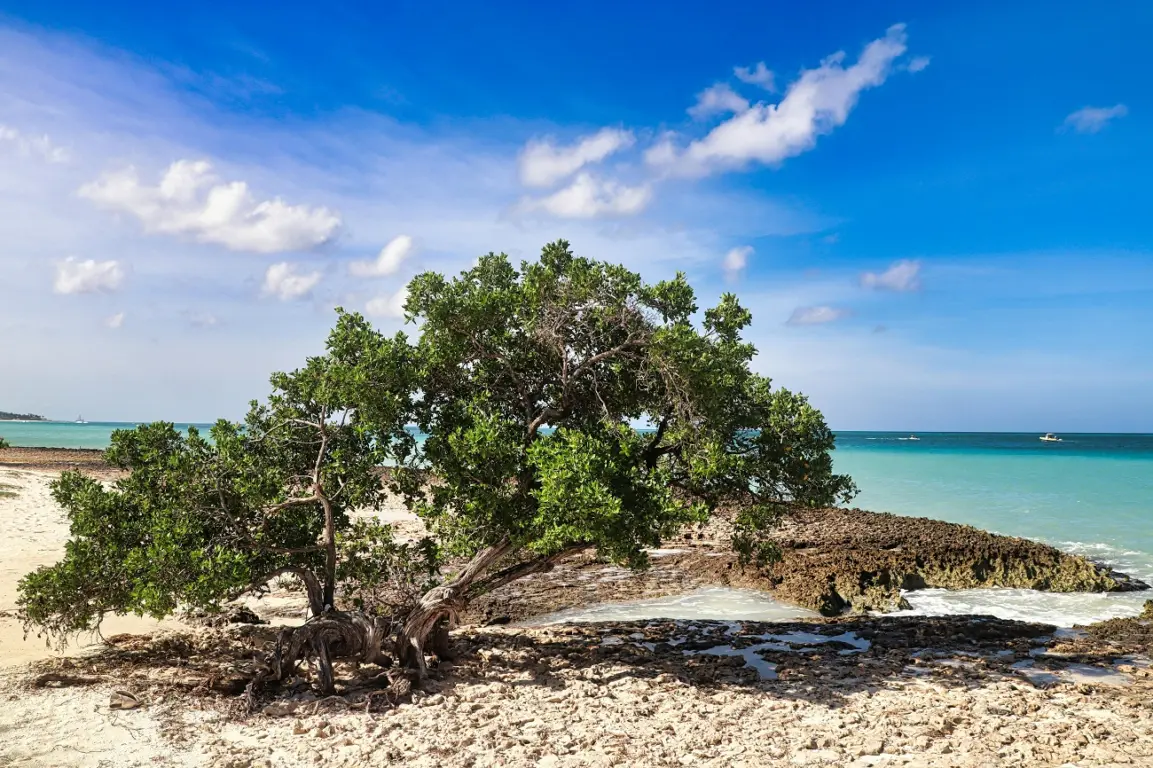 Agosto em Aruba: Como é o que fazer!