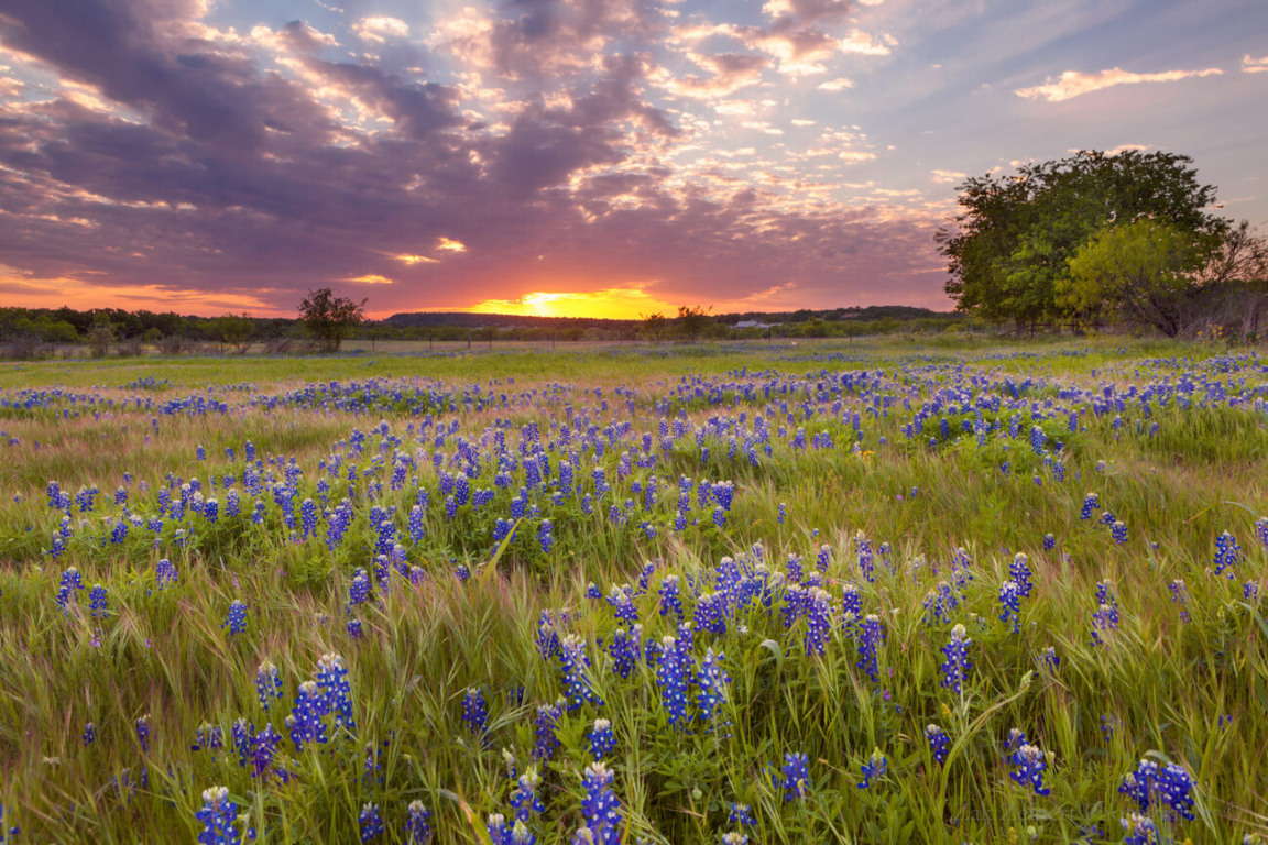 Texas Hill Country