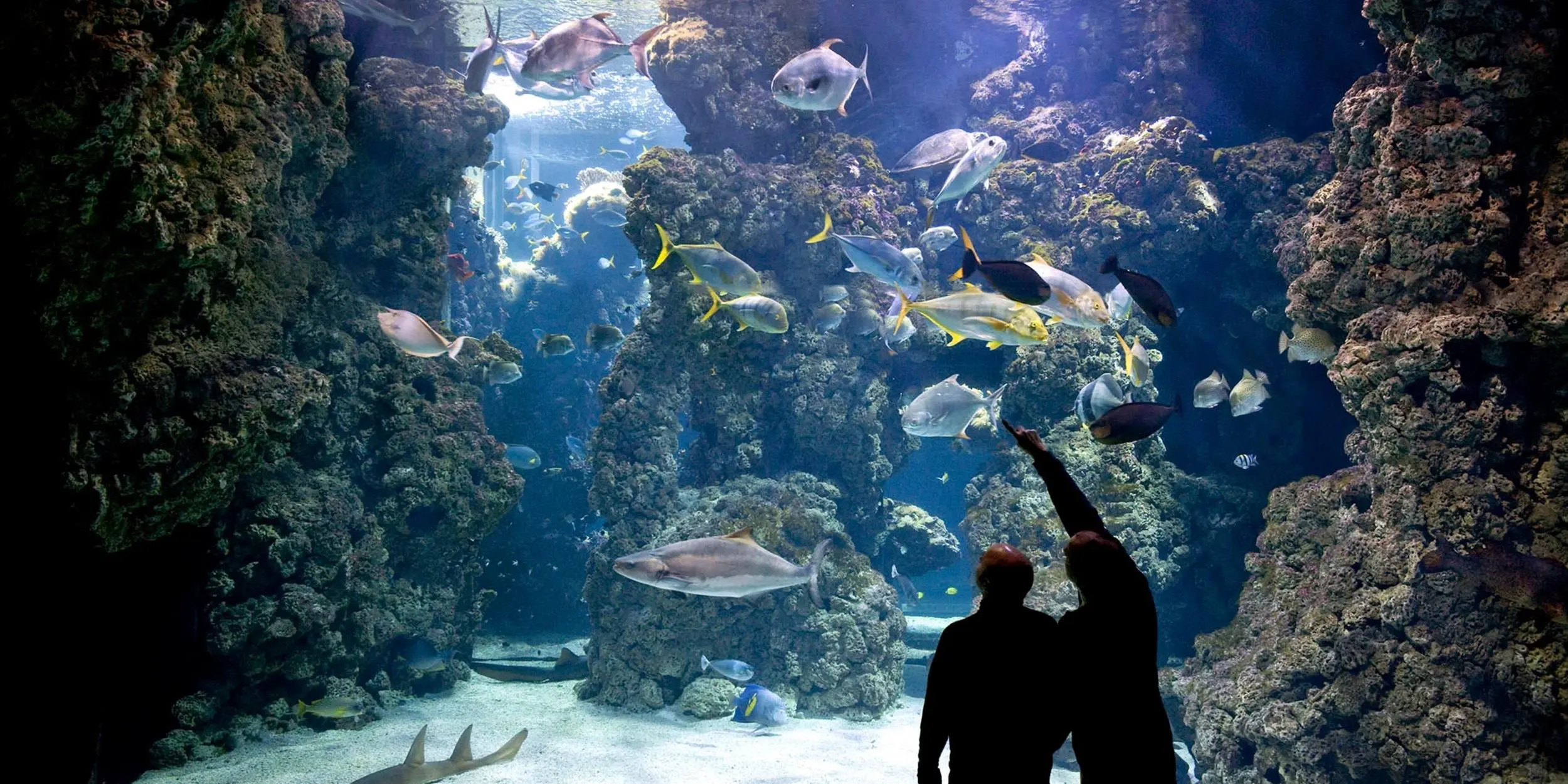 Museu Oceanográfico de Mônaco