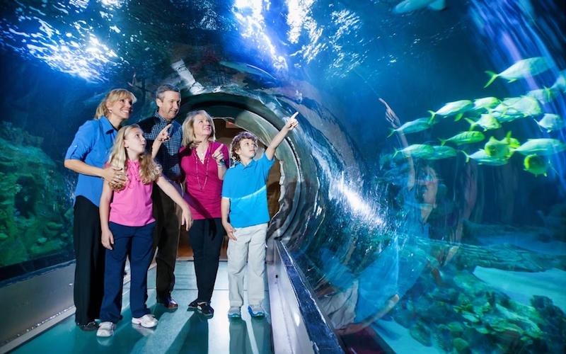 Família no Sea Life Orlando Aquarium