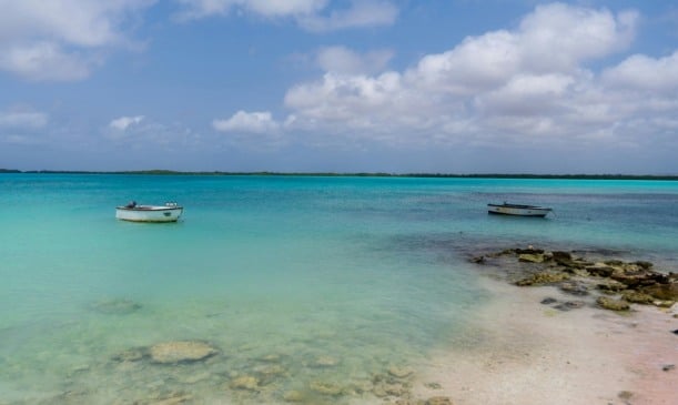 Como ir de Aruba para a ilha Bonaire: Todas as dicas!