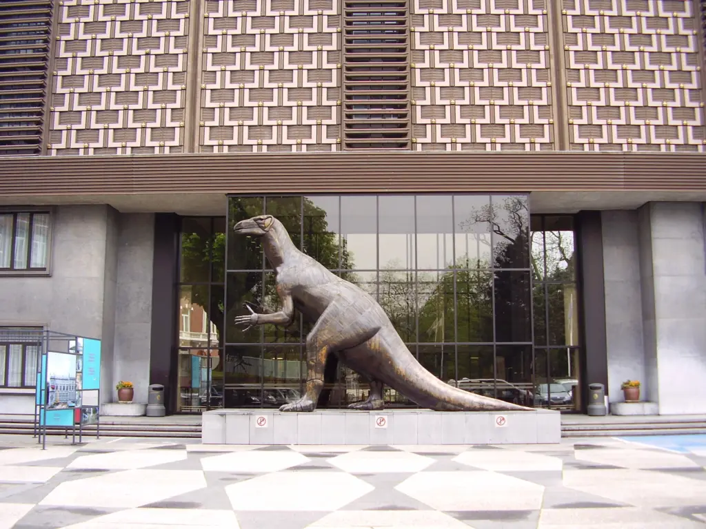 Museu de Ciências Naturais da Bélgica