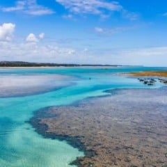 Transfer em São Miguel dos Milagres: Vantagens e preço!