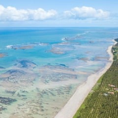 Como viajar barato a São Miguel dos Milagres