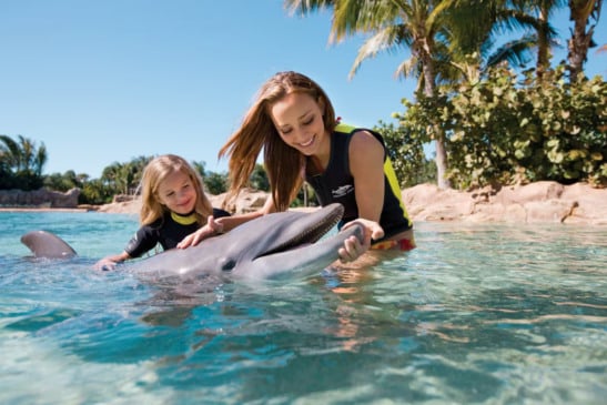 Visitantes interagindo com golfinho no Discovery Cove em Orlando