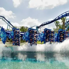 Tudo sobre o ingresso combo de 14 dias nos parques SeaWorld