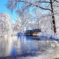Inverno em Boston