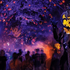 Guia completo do Halloween Horror Nights na Universal Orlando