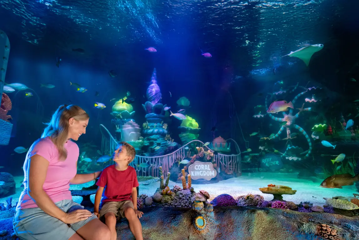 Sea Life Aquarium Florida: Tudo sobre o aquário de Legoland