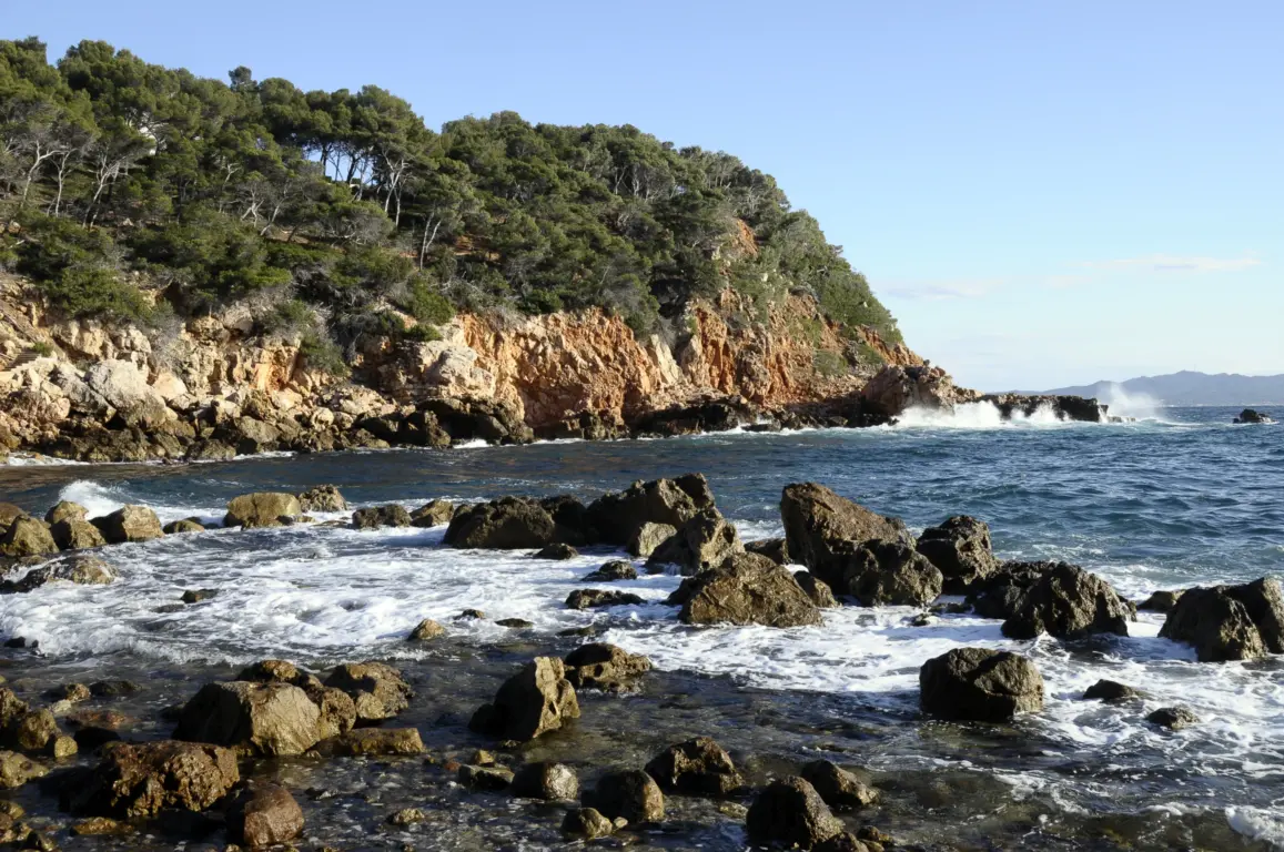 Bandol