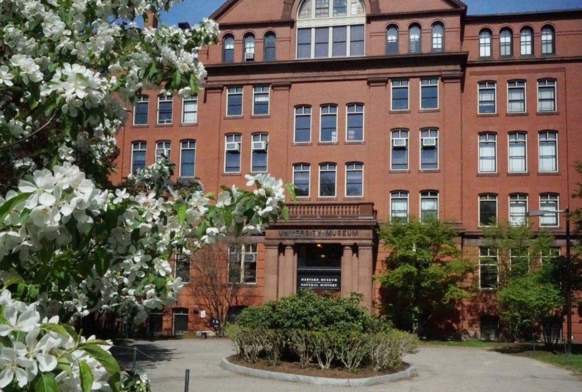 Museu Harvard de História Natural em Boston