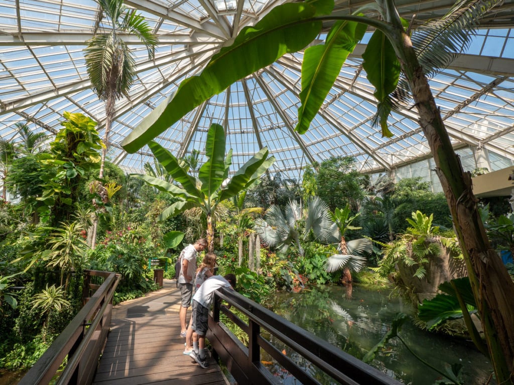 Parc Phoenix