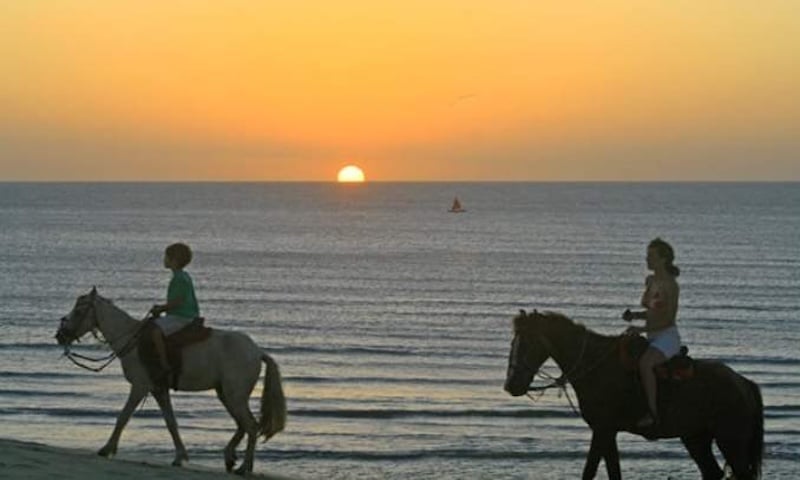 Passeio a cavalo em Jeri
