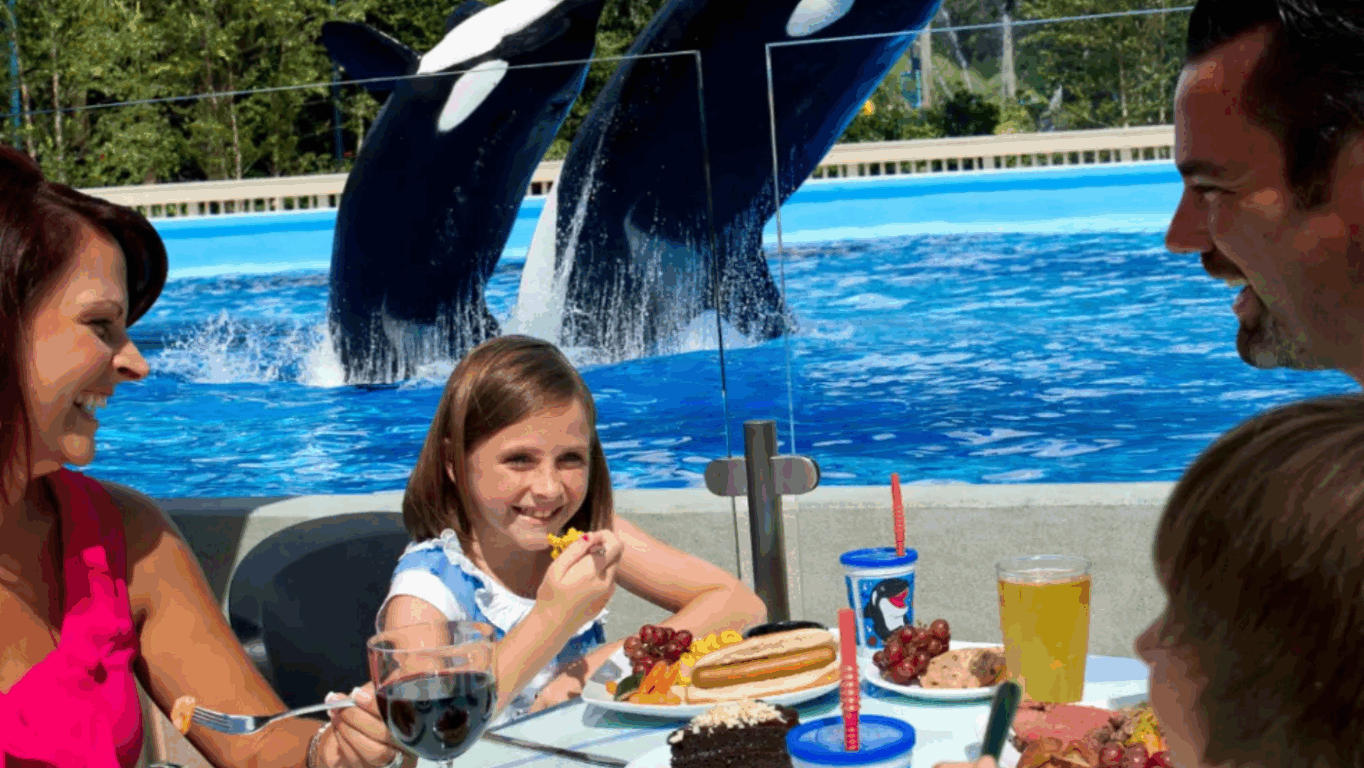 Almoço com baleias orcas no Parque SeaWorld Orlando: Vale a pena? Almoço com baleias orcas no Parque SeaWorld Orlando: Vale a pena?