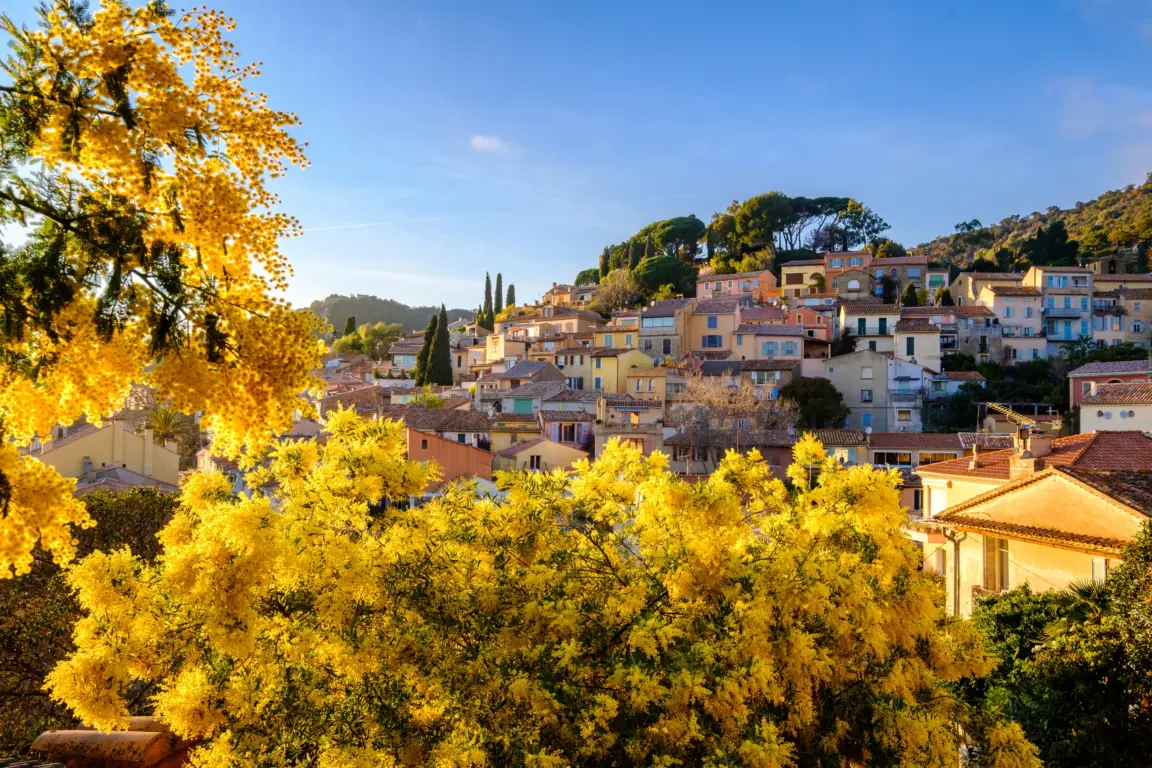 Bormes-les-Mimosas