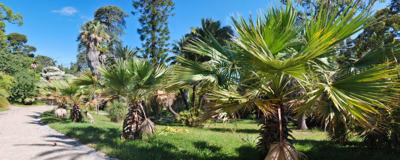 Jardim Botânico Thuret