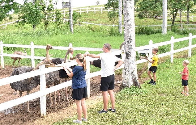 Crianças curtindo o Eco Park Punta Cana