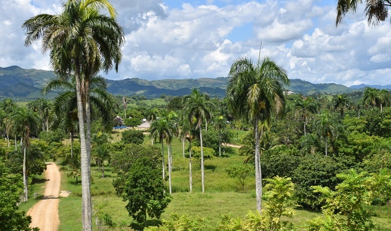 Estrutura do Eco Park em Punta Cana